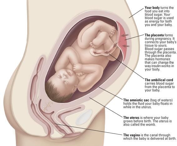 normal-blood-sugar-for-premature-baby-weight-causes-of-low-blood-sugar